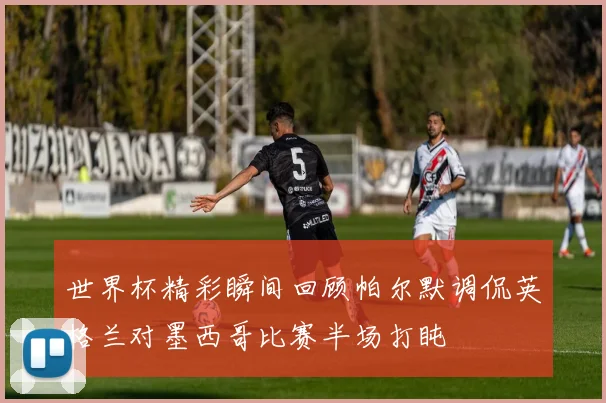 世界杯精彩瞬间回顾帕尔默调侃英格兰对墨西哥比赛半场打盹