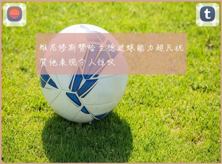 维尼修斯赞哈兰德进球能力超凡祝贺他表现令人惊叹